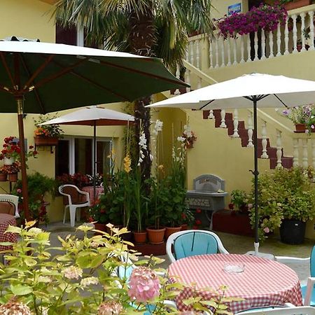 מוסטר Hostel David מראה חיצוני תמונה