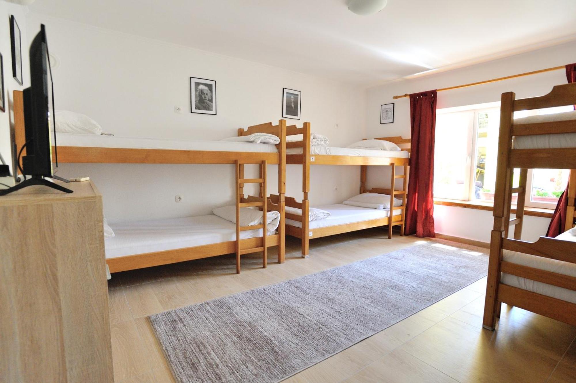 מוסטר Hostel David מראה חיצוני תמונה