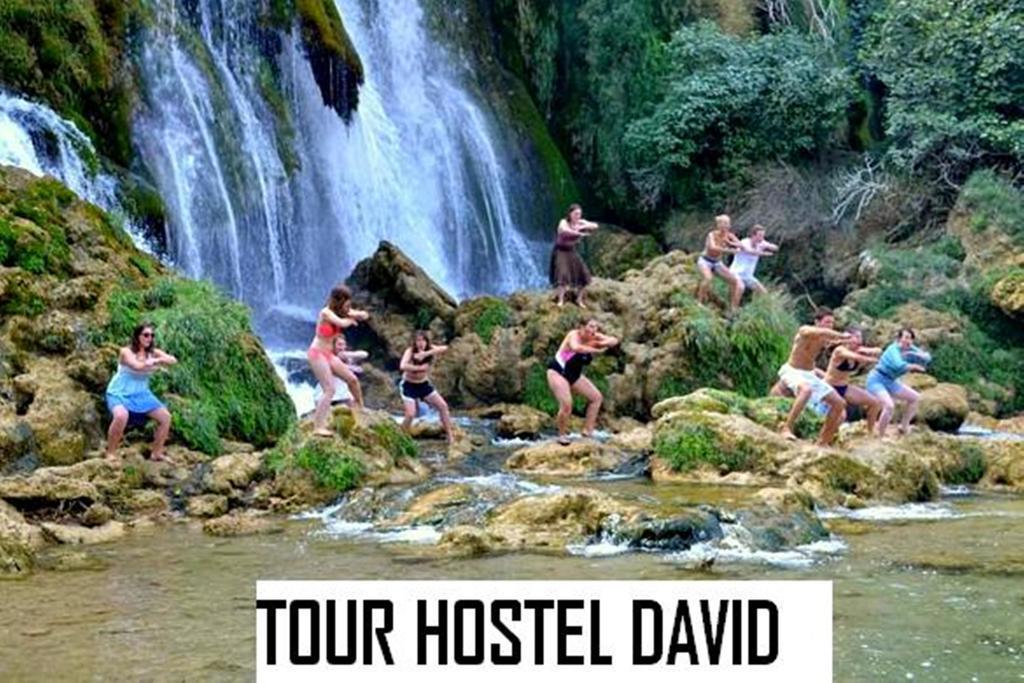 מוסטר Hostel David מראה חיצוני תמונה