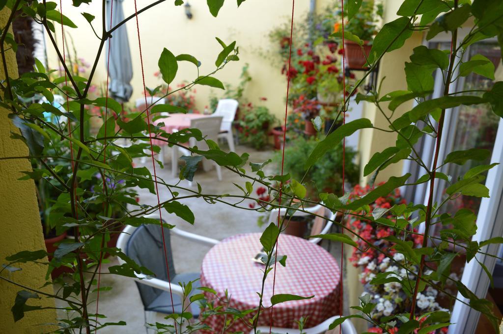 מוסטר Hostel David מראה חיצוני תמונה