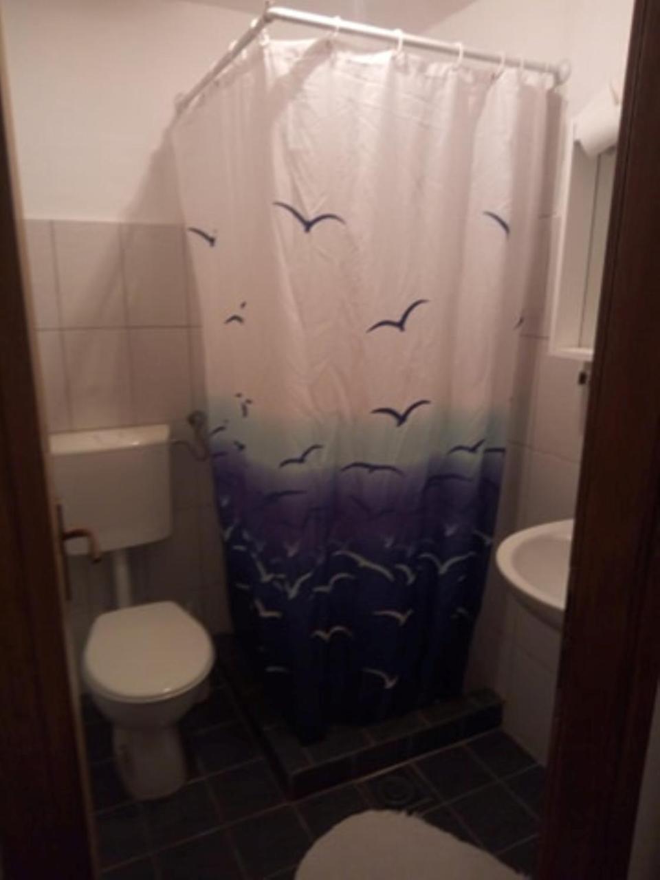 מוסטר Hostel David מראה חיצוני תמונה